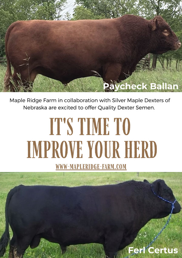 Maple Ridge Farm - Semen Poster